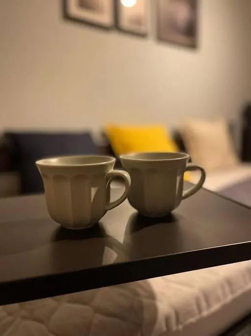 日本の下町新小岩デメテル202 Apartment Tokyo
