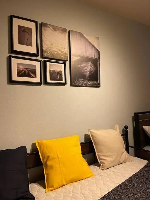 日本の下町新小岩デメテル202 Apartment Tokyo